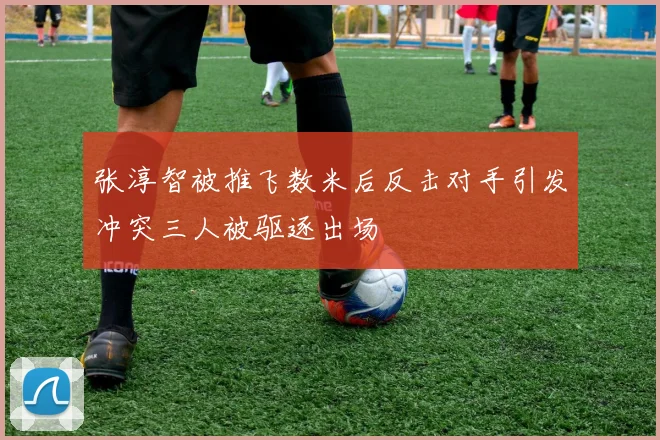 张淳智被推飞数米后反击对手引发冲突三人被驱逐出场