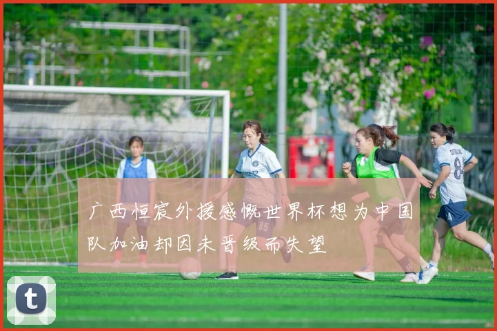 广西恒宸外援感慨世界杯想为中国队加油却因未晋级而失望