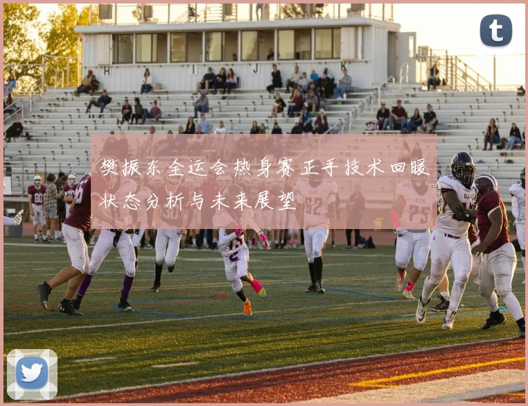 樊振东全运会热身赛正手技术回暖状态分析与未来展望