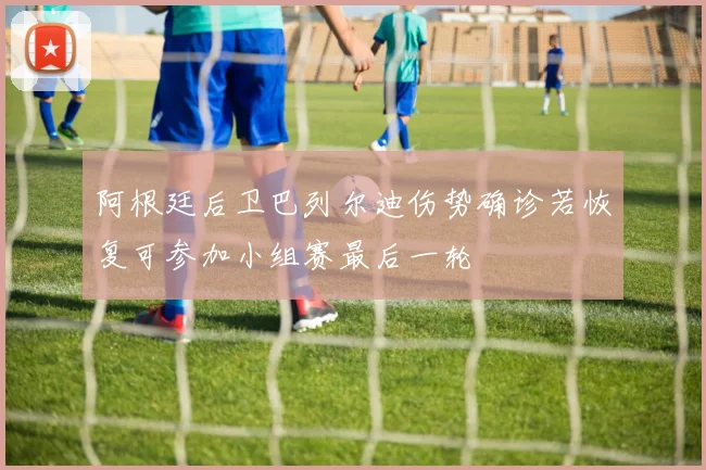 阿根廷后卫巴列尔迪伤势确诊若恢复可参加小组赛最后一轮